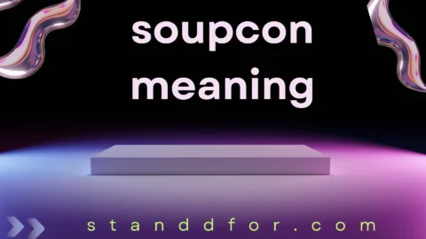 soupcon meaning