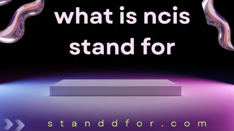 what is ncis stand for