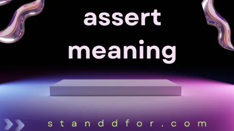 assert meaning
