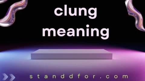 clung meaning