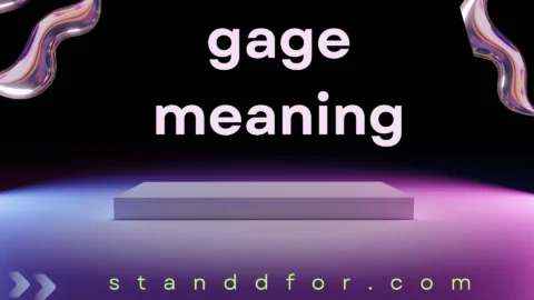 gage meaning