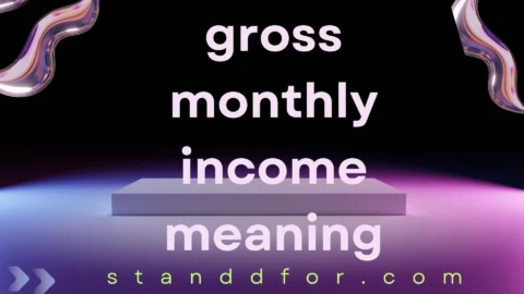 gross monthly income meaning