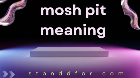 mosh pit meaning