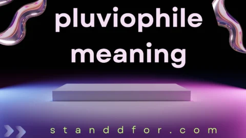 pluviophile meaning