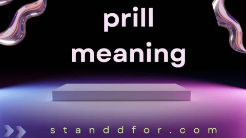 prill meaning