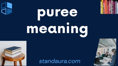 puree meaning