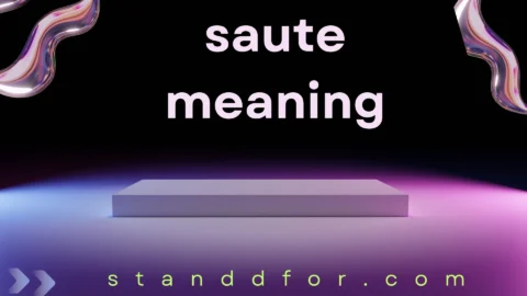 saute meaning