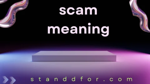 scam meaning
