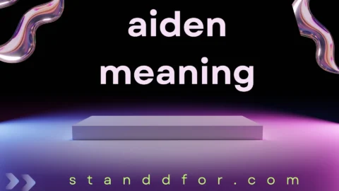 aiden meaning