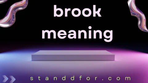 brook meaning