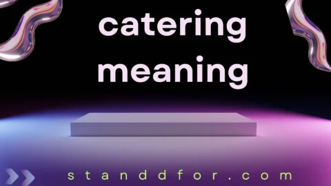 catering meaning