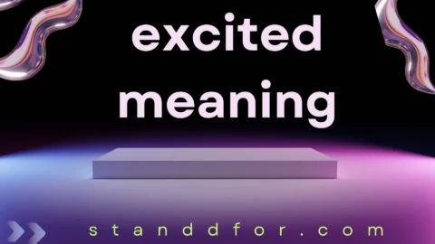 excited meaning