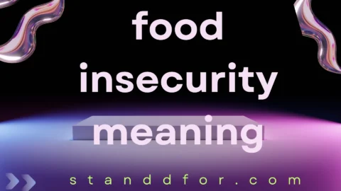 food insecurity meaning