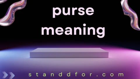 purse meaning