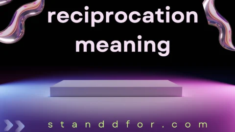 reciprocation meaning