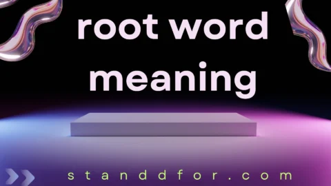 root word meaning