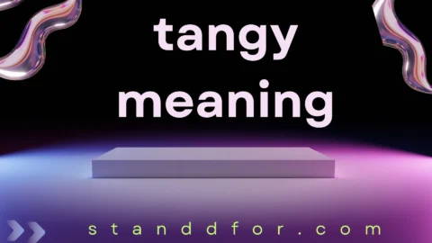 tangy meaning