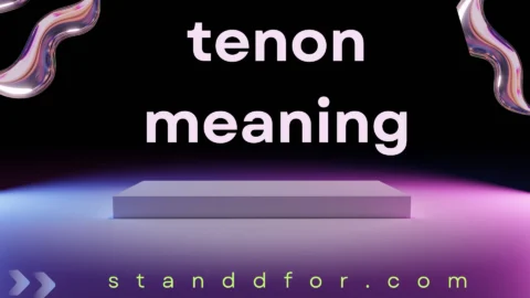 tenon meaning