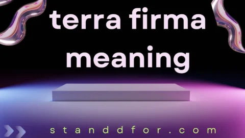 terra firma meaning