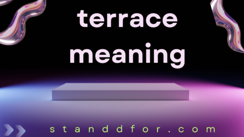 terrace meaning