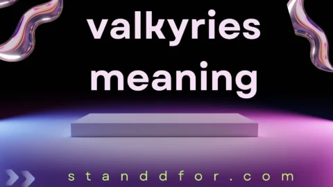 valkyries meaning