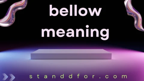 bellow meaning
