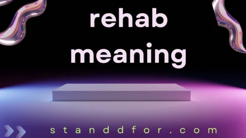 rehab meaning