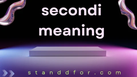 secondi meaning