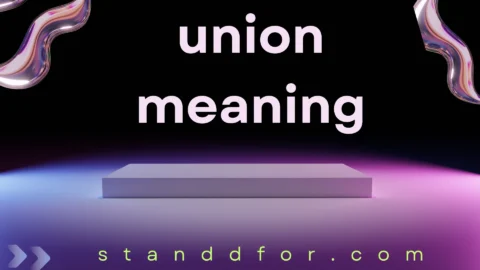 union meaning