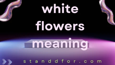 white flowers meaning