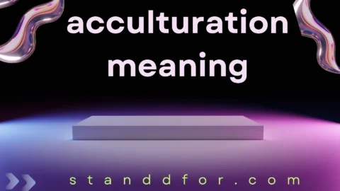 acculturation meaning