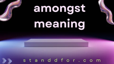 amongst meaning