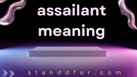 assailant meaning