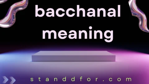 bacchanal meaning