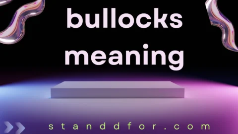 bullocks meaning