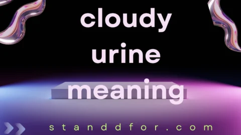 cloudy urine meaning