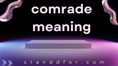 comrade meaning
