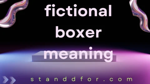 fictional boxer meaning