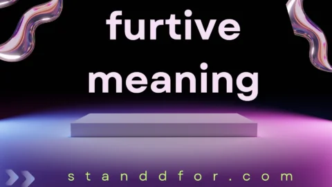 furtive meaning
