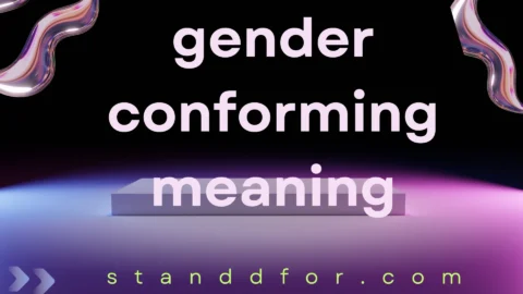 gender conforming meaning