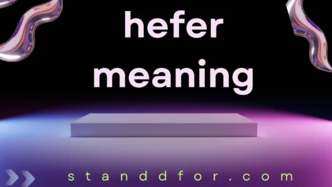 hefer meaning