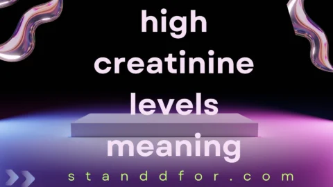 high creatinine levels meaning
