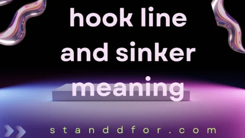 hook line and sinker meaning