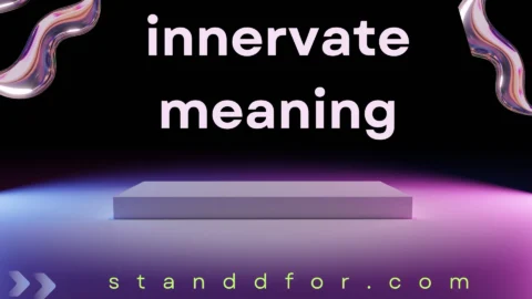 innervate meaning