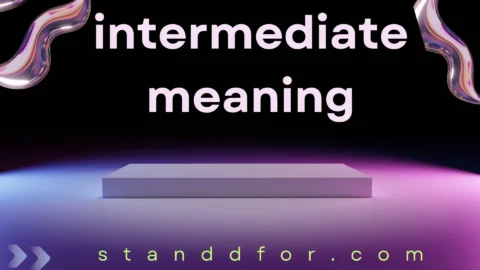 intermediate meaning