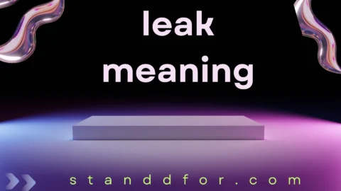 leak meaning
