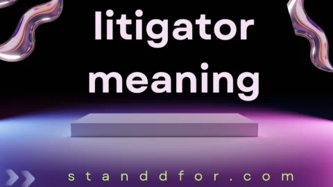 litigator meaning