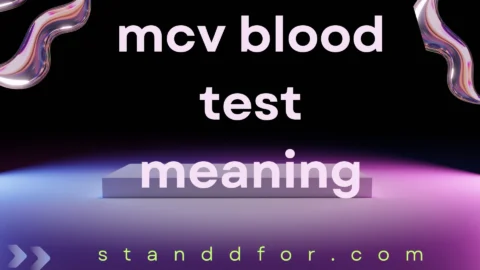 mcv blood test meaning