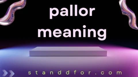 pallor meaning