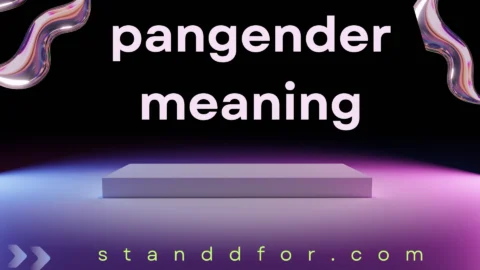 pangender meaning